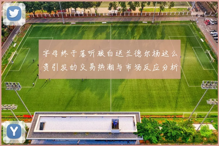 字母终于落听狼白送兰德尔杨这么贵引发的交易热潮与市场反应分析