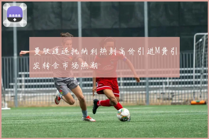 曼联追逐托纳利热刺高价引进M费引发转会市场热潮