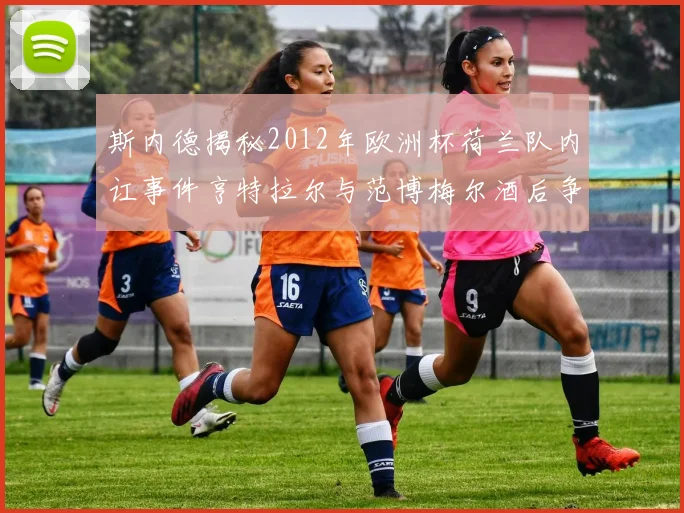 斯内德揭秘2012年欧洲杯荷兰队内讧事件亨特拉尔与范博梅尔酒后争执内幕