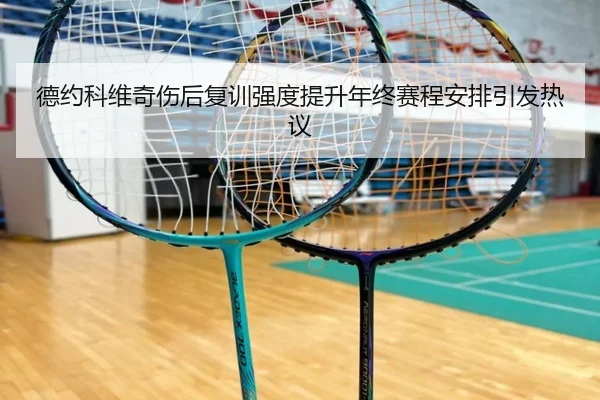 德约科维奇伤后复训强度提升年终赛程安排引发热议（ayx）